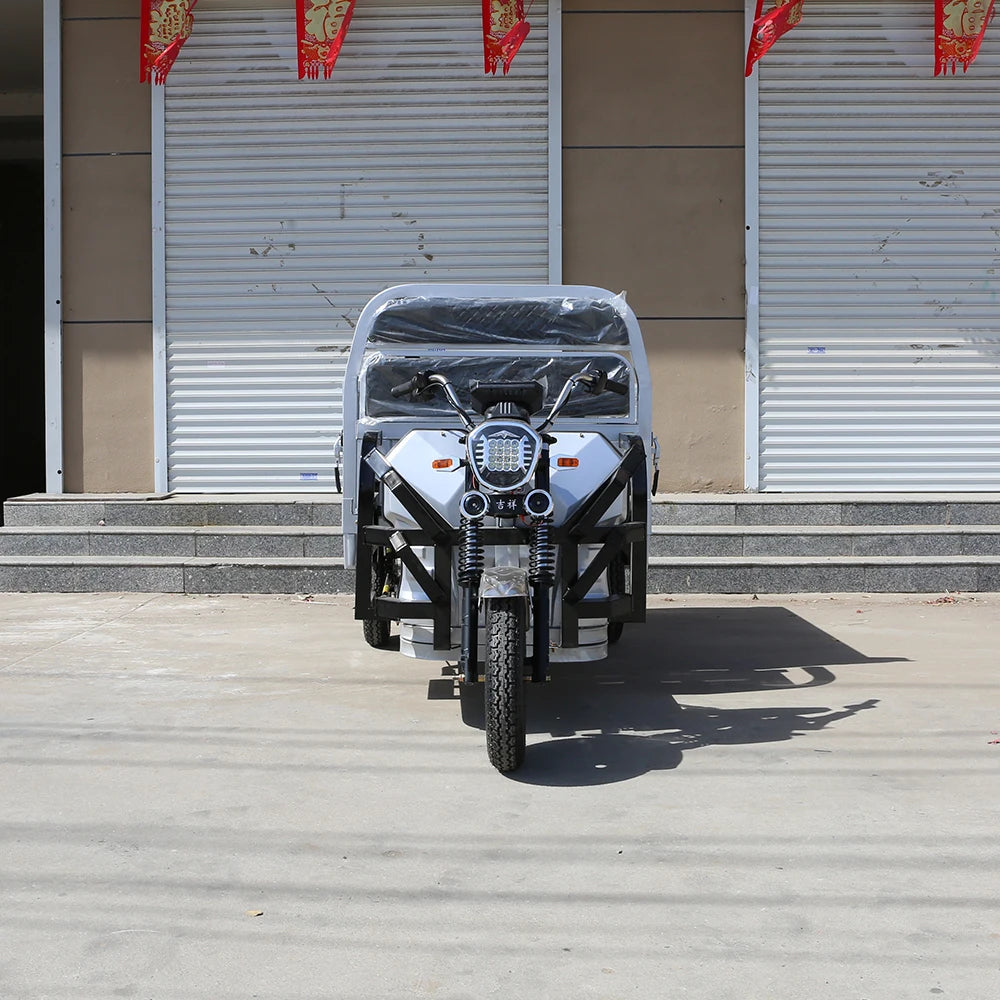 Wholesale 1200W Cargo Electric Tricycle Electric Trike Ebike 3 Wheel Electric Bicycle for Adults