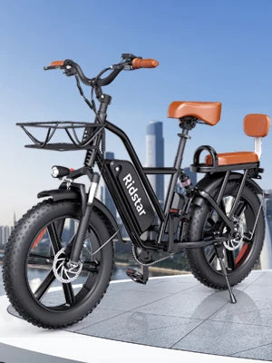 2 Seater Electric Bike for Adults,48V 15AH Removable Battery Ebike 20" x 4.0 Fat Tire Beach Mountain Commuting Electric Bicycles