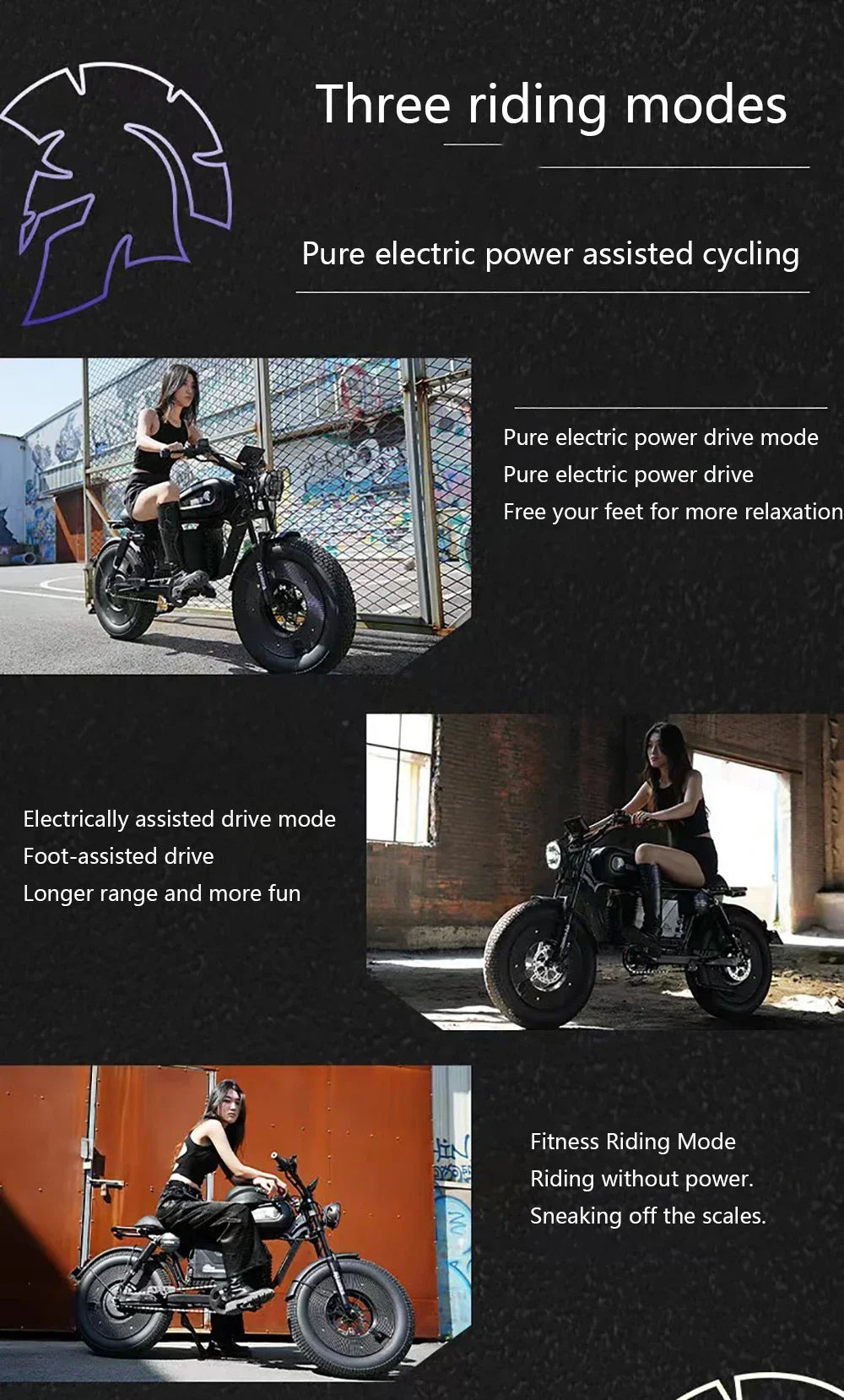 ZPW Black Warrior 1500W Motorbikes 48V 60AH Ebike Adult Road Electric Bicycle 20 inch Off-road Fat Tyre Electric Bike 2000w