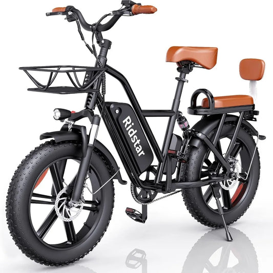 2 Seater Electric Bike for Adults,48V 15AH Removable Battery Ebike 20" x 4.0 Fat Tire Beach Mountain Commuting Electric Bicycles