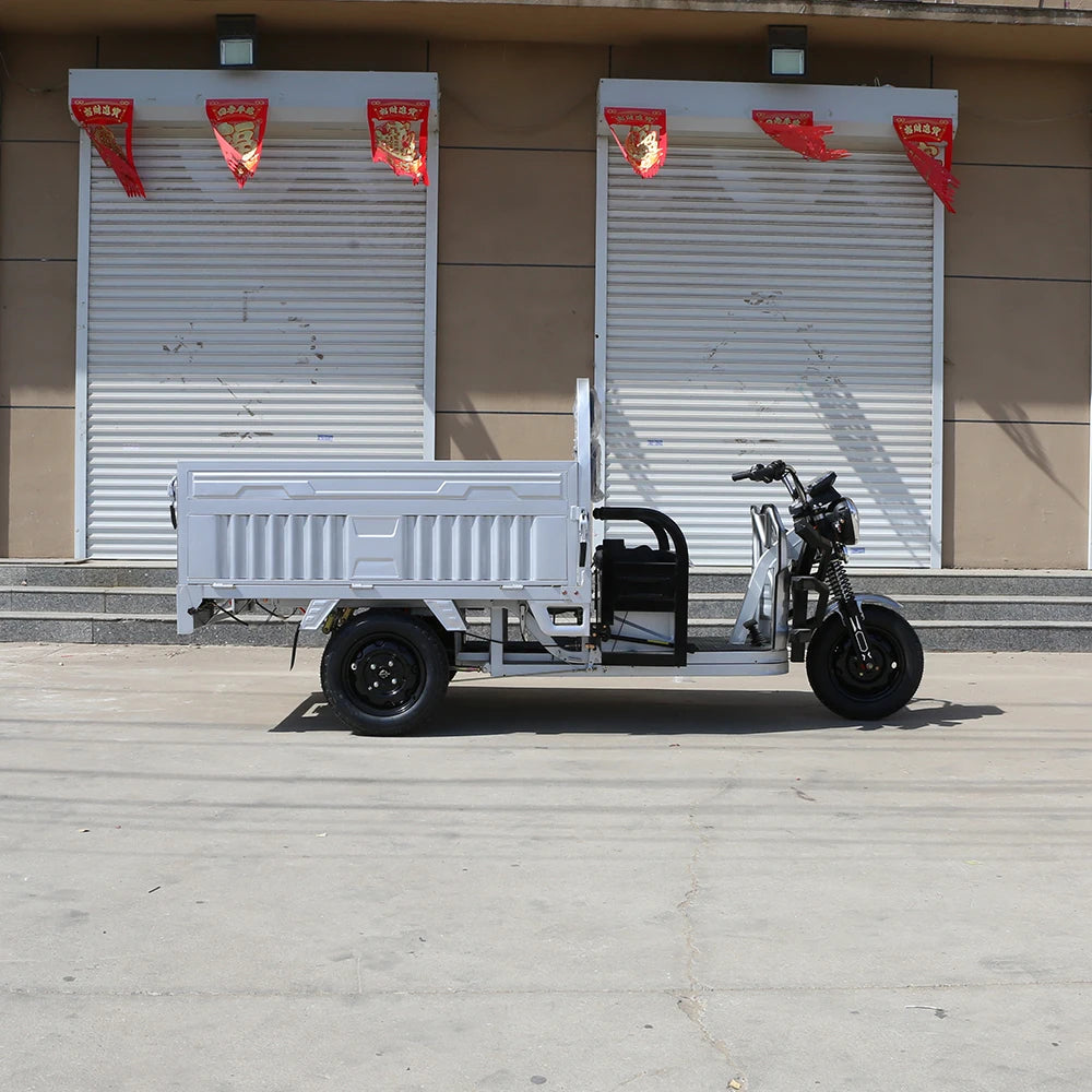 Wholesale 1200W Cargo Electric Tricycle Electric Trike Ebike 3 Wheel Electric Bicycle for Adults